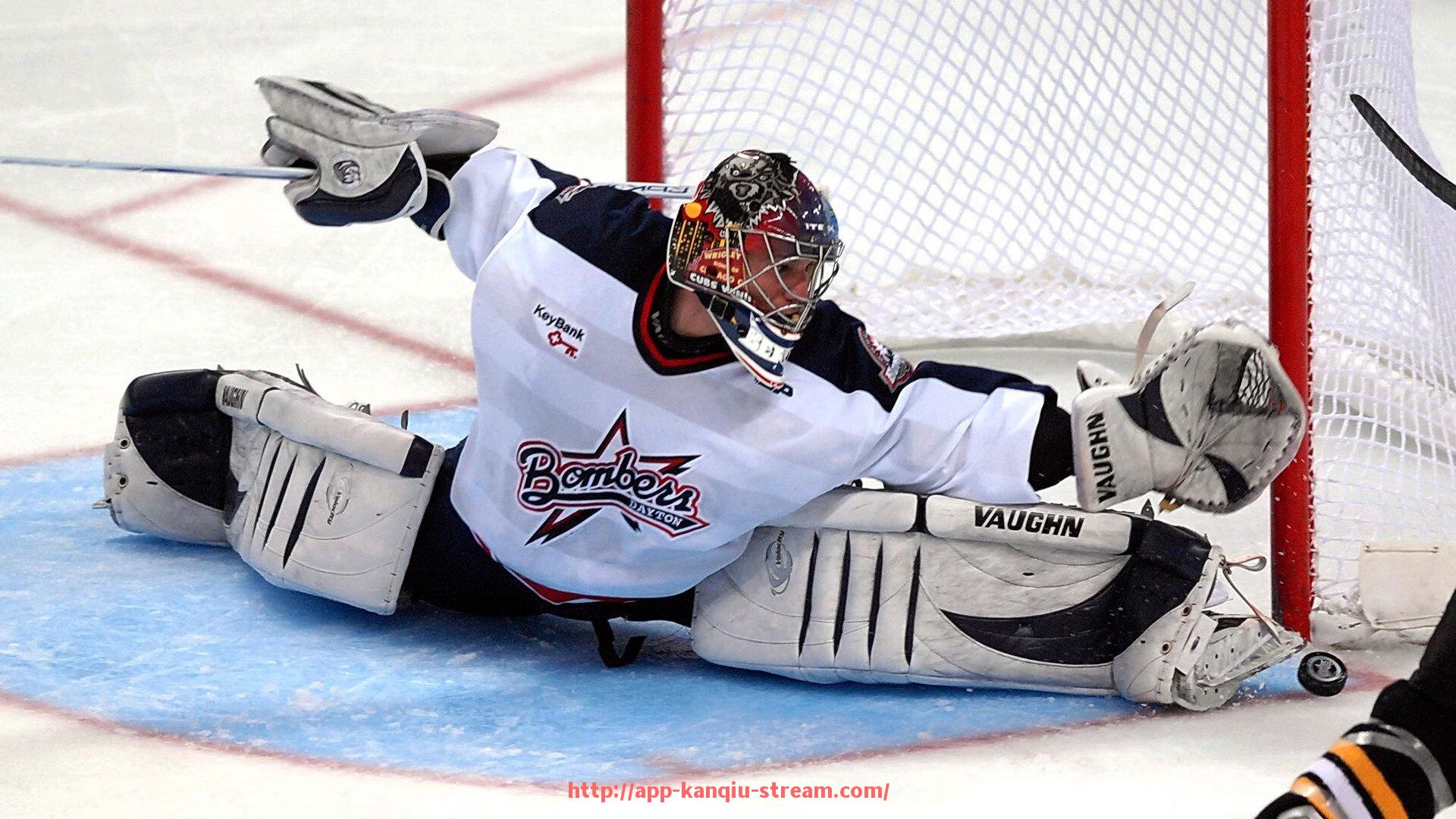 看球直播-德甲球队参与体育事业带来的多方面好处